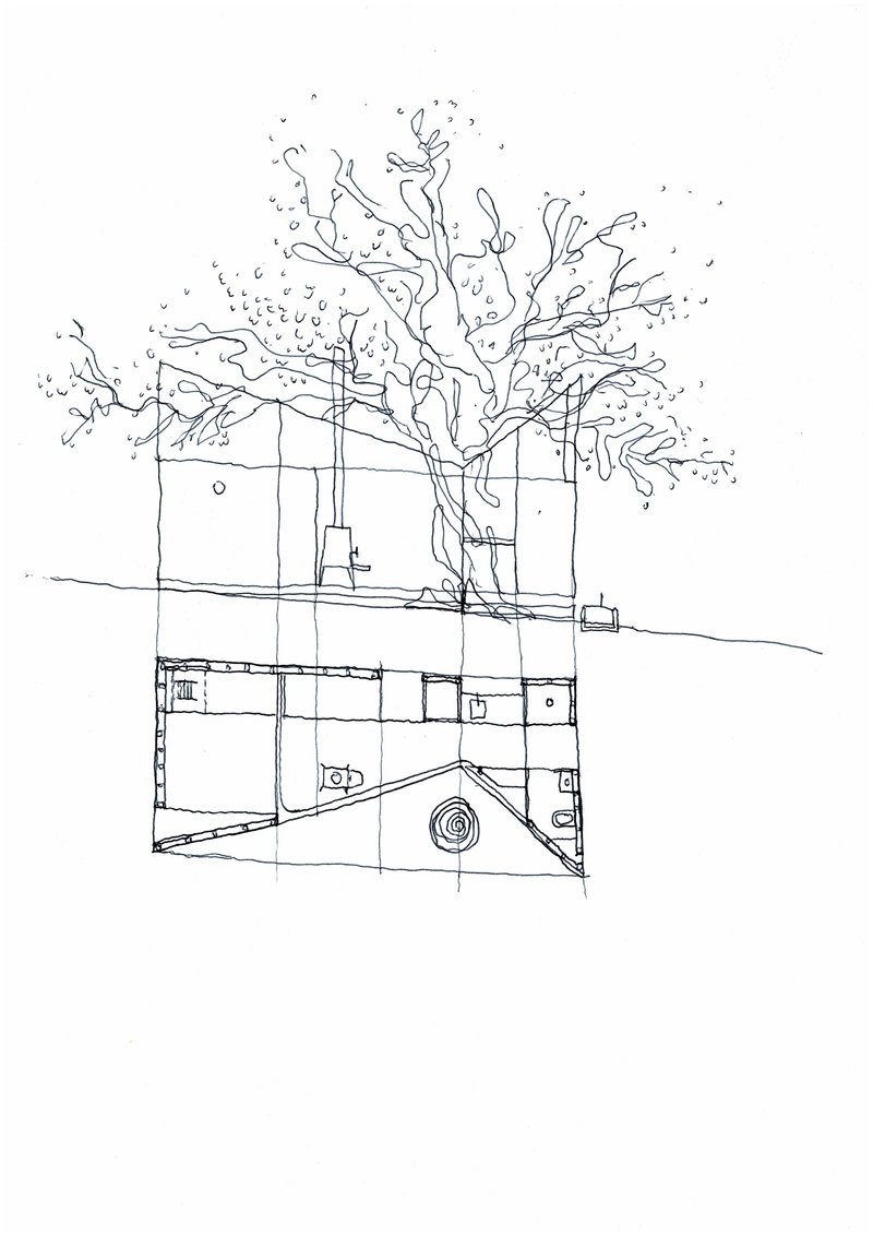 Section sketch with floor plan overlay featuring a large tree growing through the structure