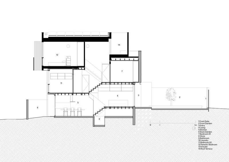 Section drawing revealing three staggered floor levels with a tree in the rear garden