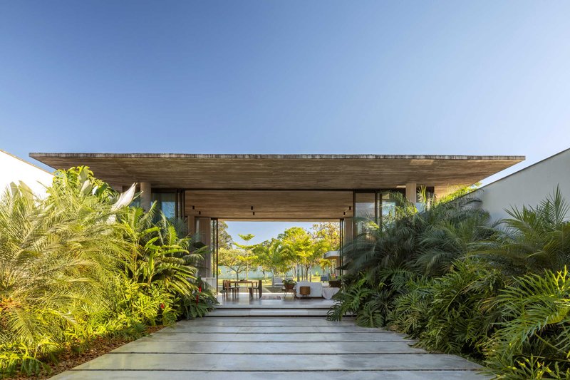 Entry view through a planted pathway flanked by palms leading to the timber-roofed pavilion