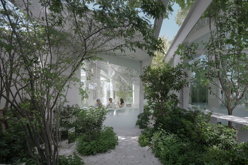 Planted courtyard path with gravel surface leading through trees toward a glass-walled interior space