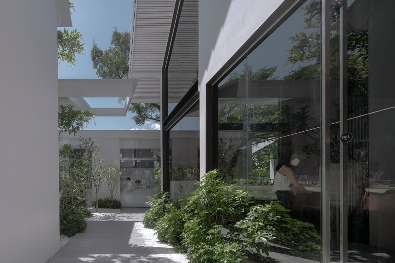 Glass facade with dark frames reflecting courtyard greenery beside a planted bed with low shrubs