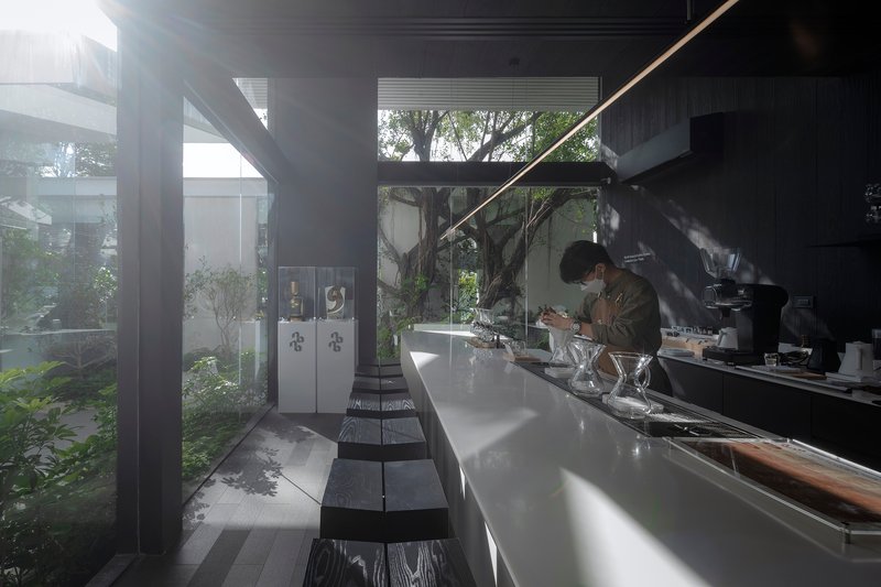 Interior counter bar with white surface and black stools overlooking a planted courtyard with mature tree