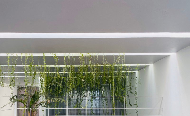 Interior view looking up at roof skylights framed by beams with cascading vines descending through openings