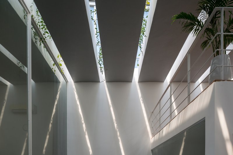 Skylight beams casting diagonal shadows across white walls with trailing plants descending from above
