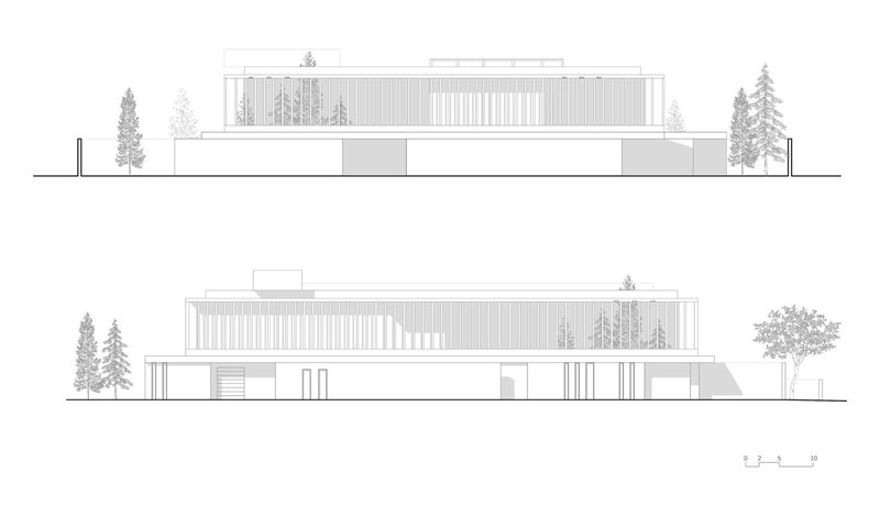 Elevation drawings of two facades with vertical slatted screens and flanking coniferous trees