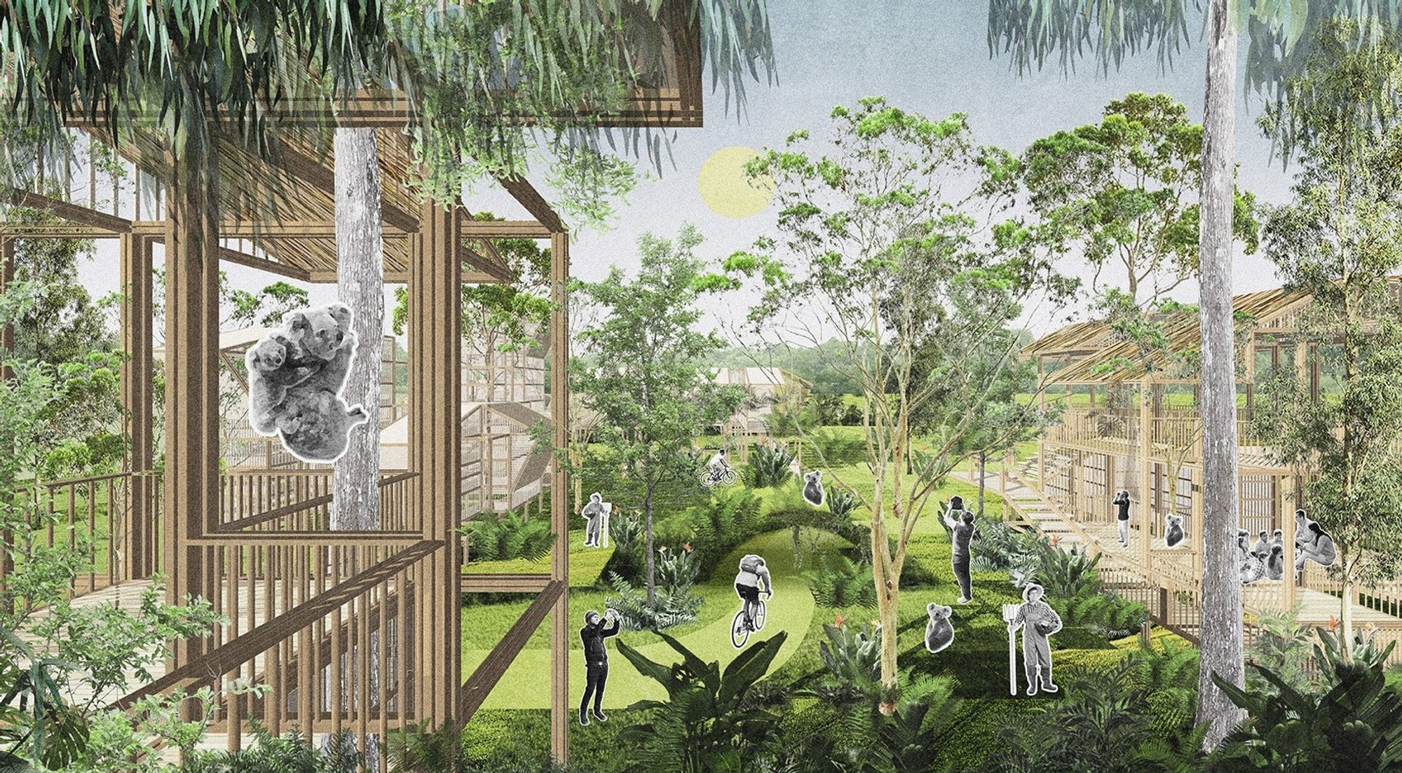 HuLa Village: Sustainable Architecture for a Shared Future Between Humans and Koalas