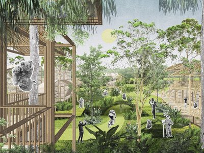 HuLa Village: Sustainable Architecture for a Shared Future Between Humans and Koalas