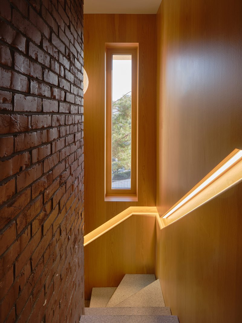 Timber-lined stairwell with narrow vertical window framing greenery outside