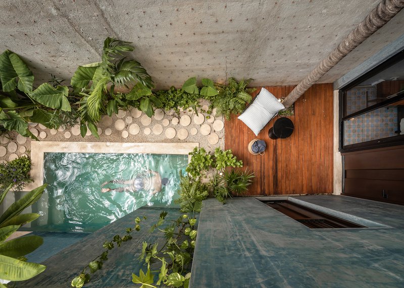 Overhead view of interior courtyard pool surrounded by tropical plantings and exposed concrete ceiling
