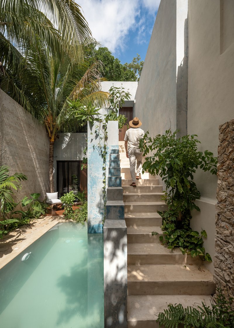 Concrete staircase ascending alongside a narrow lap pool with palm trees and planted beds
