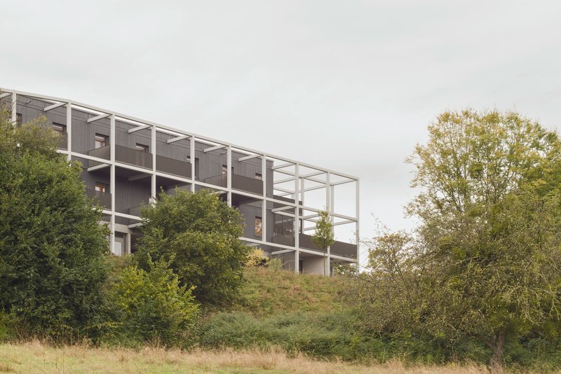 Side view of the white structural frame and dark timber cladding rising above native shrubs and grasses