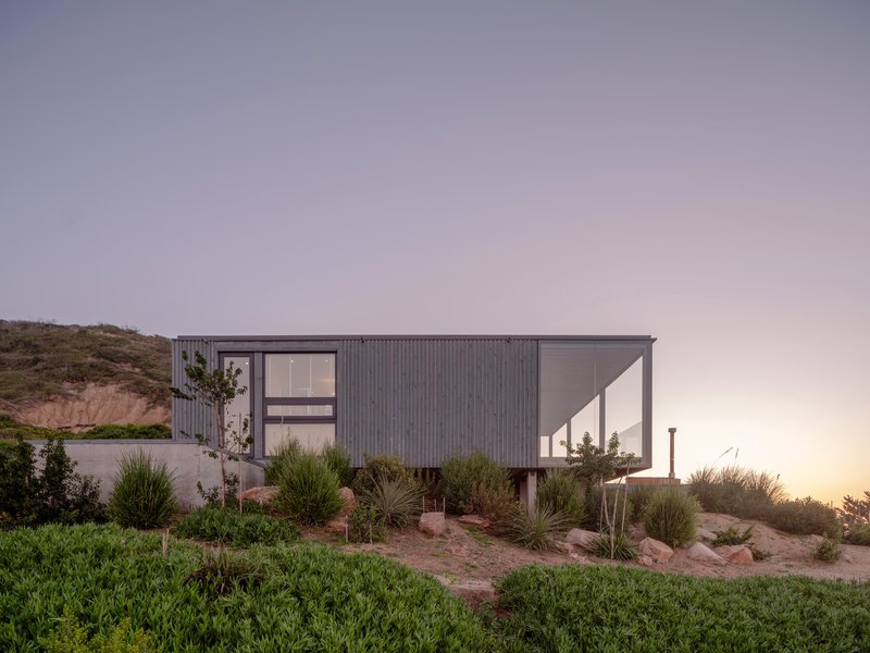 Elevated volume on pilotis with covered terrace above planted beds at twilight