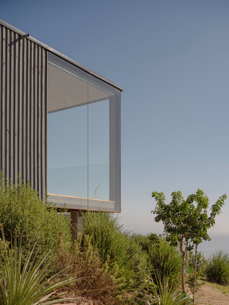 Corner detail of the vertical timber-clad facade with full-height glazing overlooking planted native grasses and trees