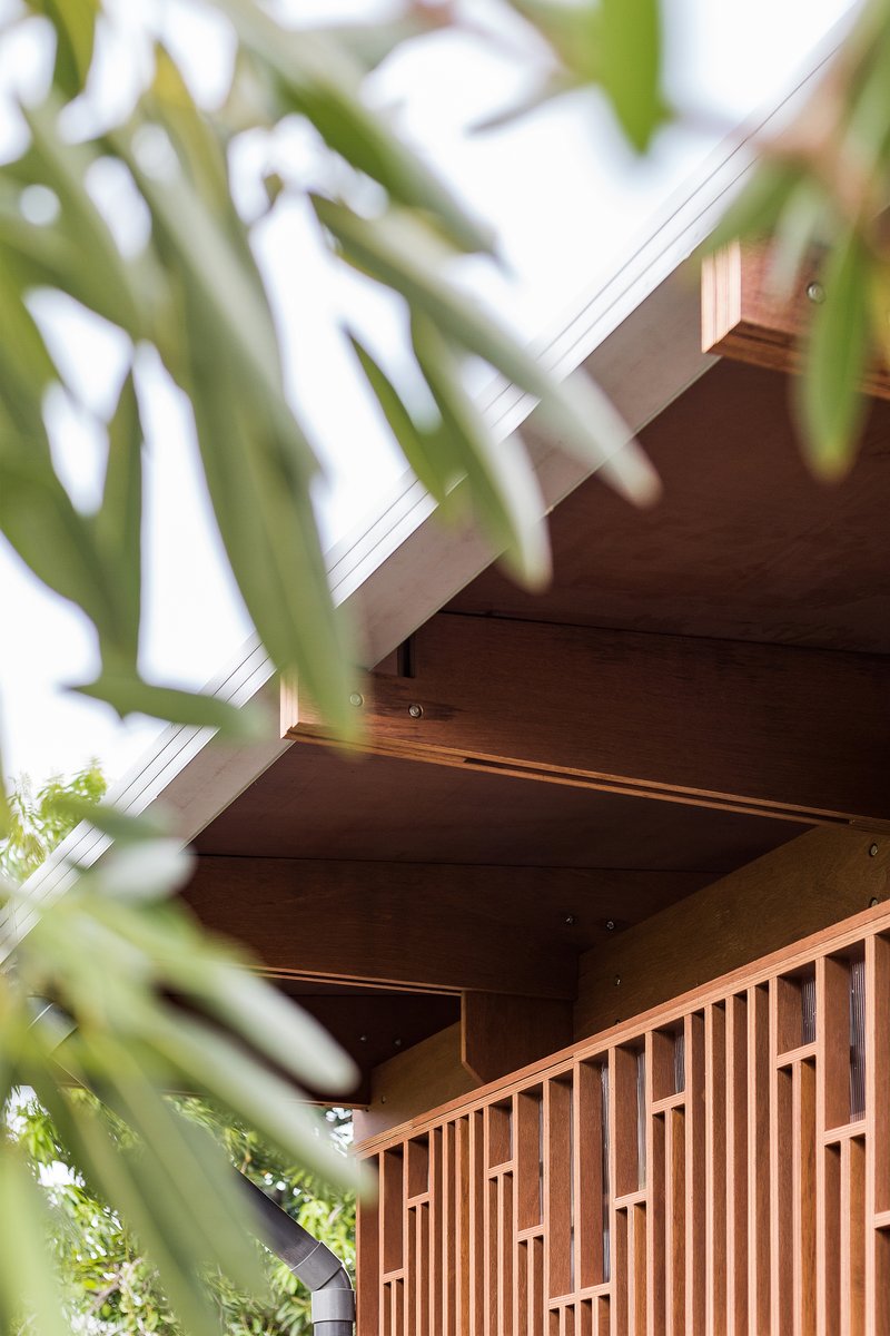 View through foliage to the underside of a cantilevered timber roof with exposed beams