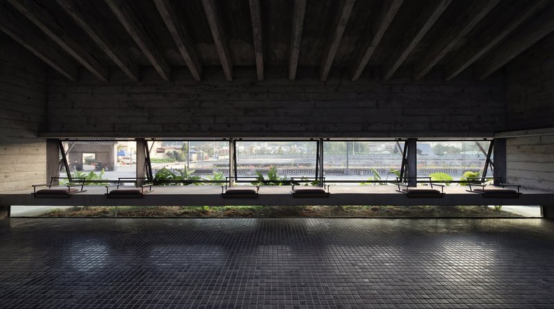 Covered plaza with exposed timber beams and planted beds along a continuous horizontal window band