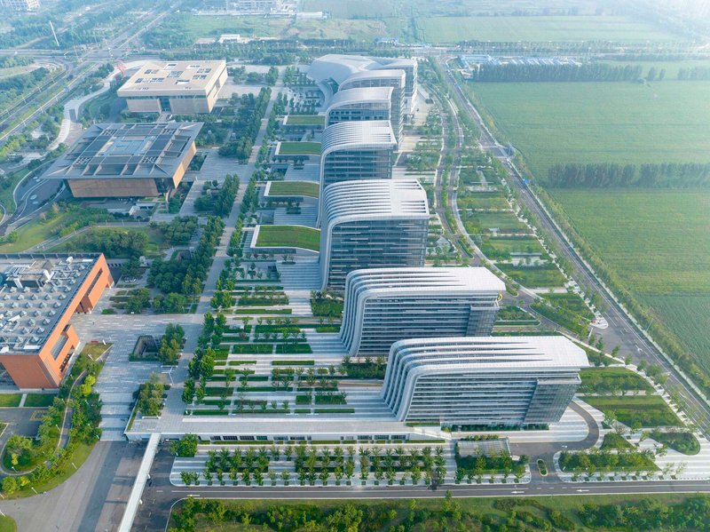 Aerial perspective showing the repeating ribbed facade rhythm of office towers along tree-lined streets
