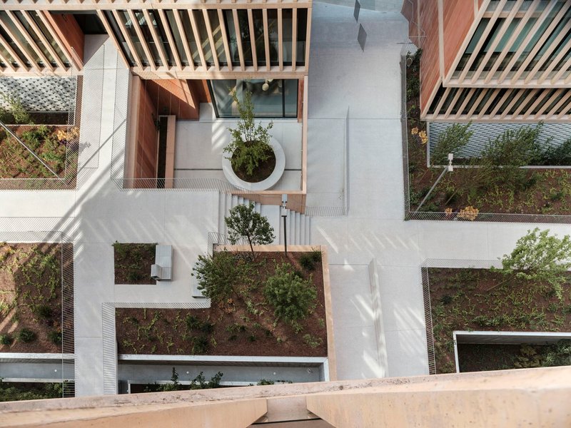 Aerial view of terraced rooftop gardens with timber screens and circular planters in morning sunlight