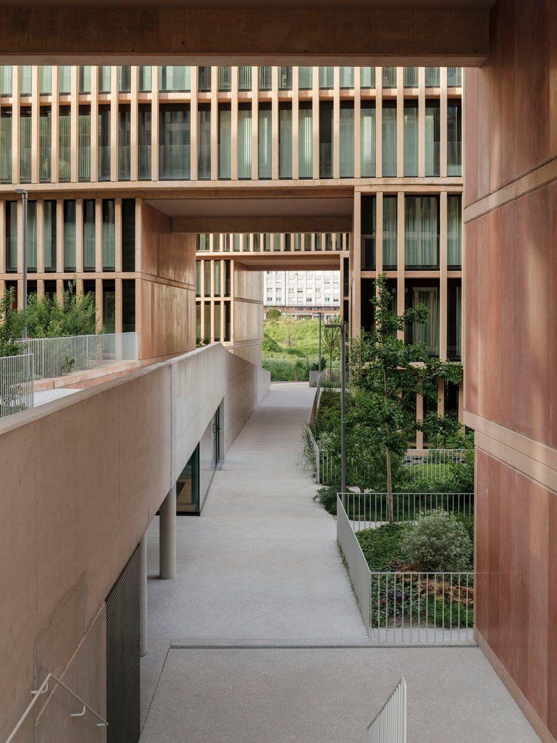 Courtyard walkway lined with planted beds and timber-screened facades bridging overhead
