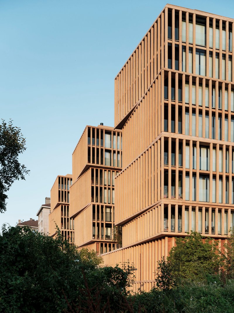 Stepped facade volumes clad in vertical timber battens rising above surrounding trees in afternoon light