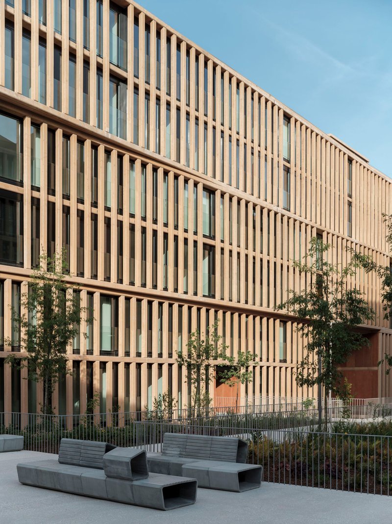 Vertical timber brise-soleil facade with concrete benches and young trees in the courtyard below