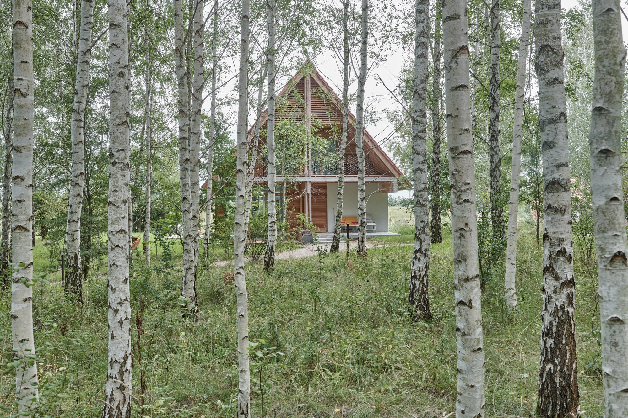 Archigrest Tucks a Timber Gable House into a Masurian Birch Grove