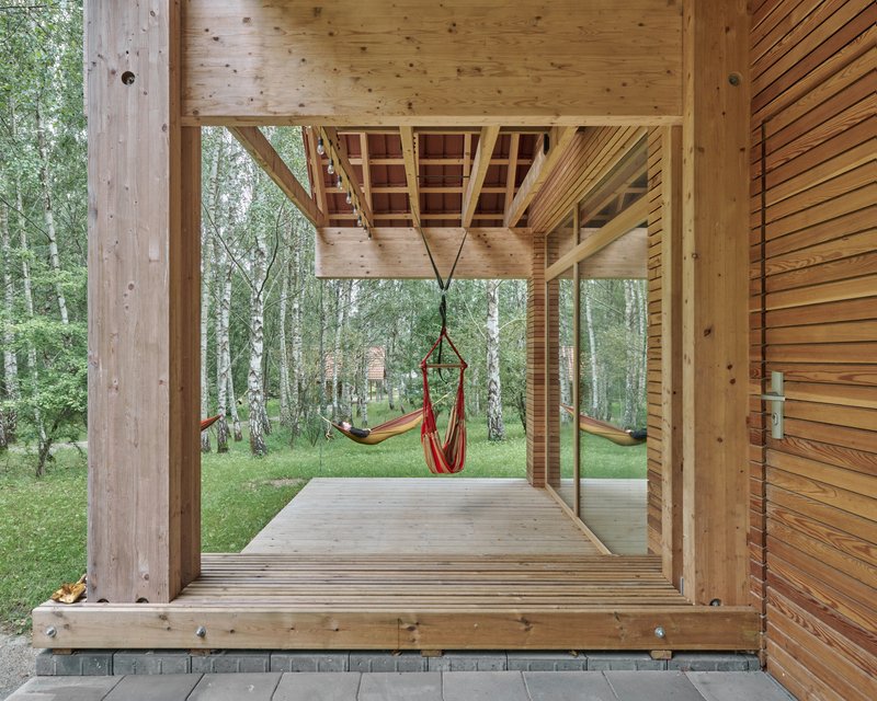 Ground-level timber deck with exposed joists overhead and hanging chair suspended among birch trees