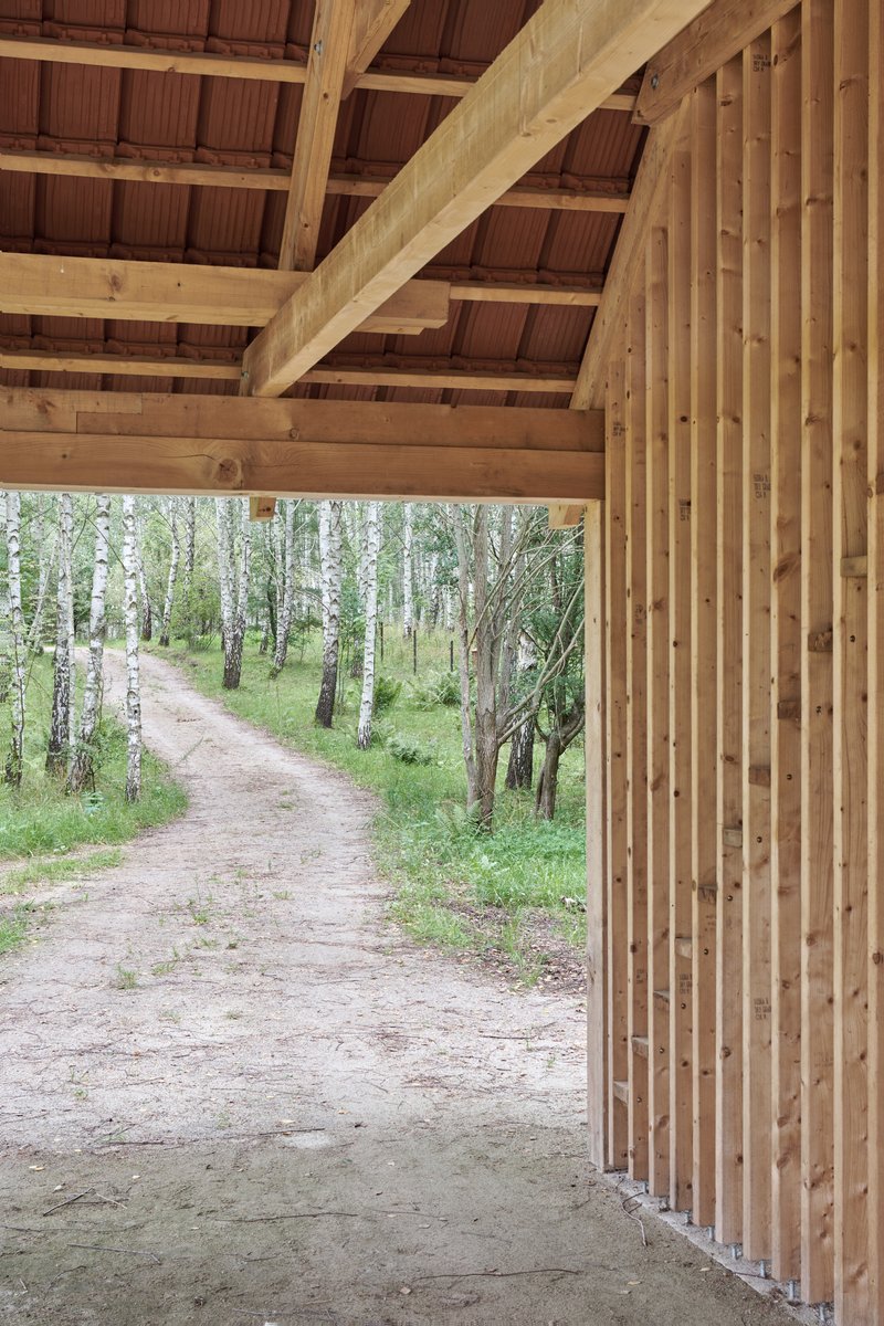 Covered porch with exposed timber beams and vertical wood slat screen opening to a dirt path through birch trees