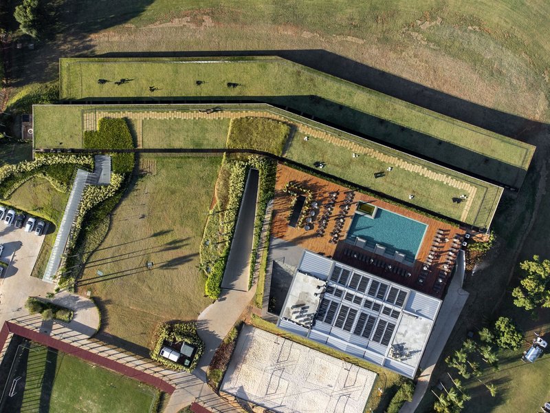 Top-down view of the central pool deck and timber terrace surrounded by planted green roofs