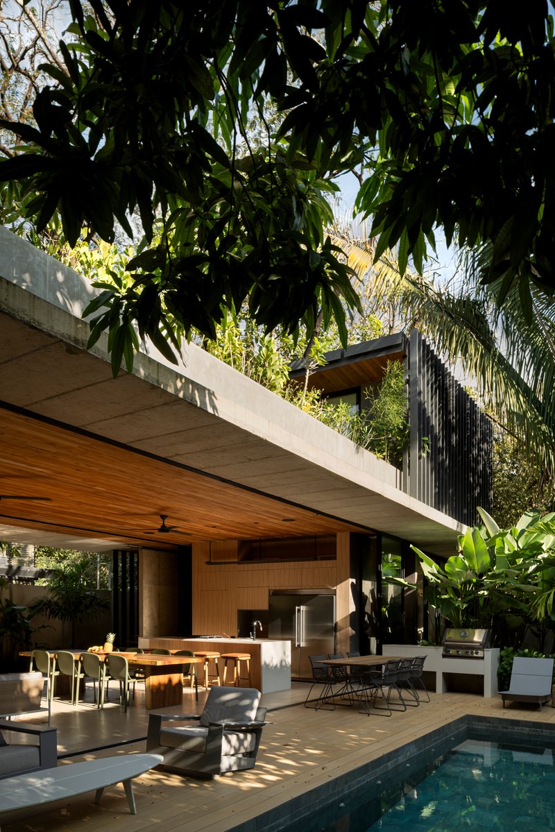 Poolside terrace with timber ceiling and concrete slab shaded by overhanging foliage