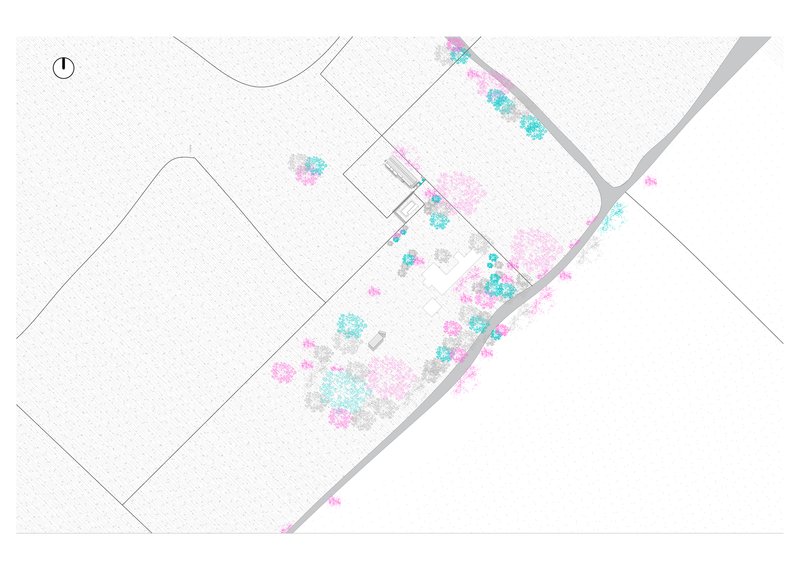 Site plan drawing with color-coded vegetation and the structure positioned along a diagonal roadway
