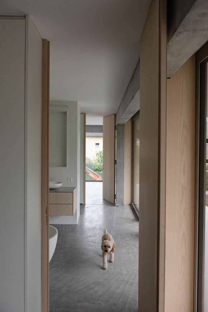 Concrete hallway with timber doors and a small dog walking toward a distant courtyard opening