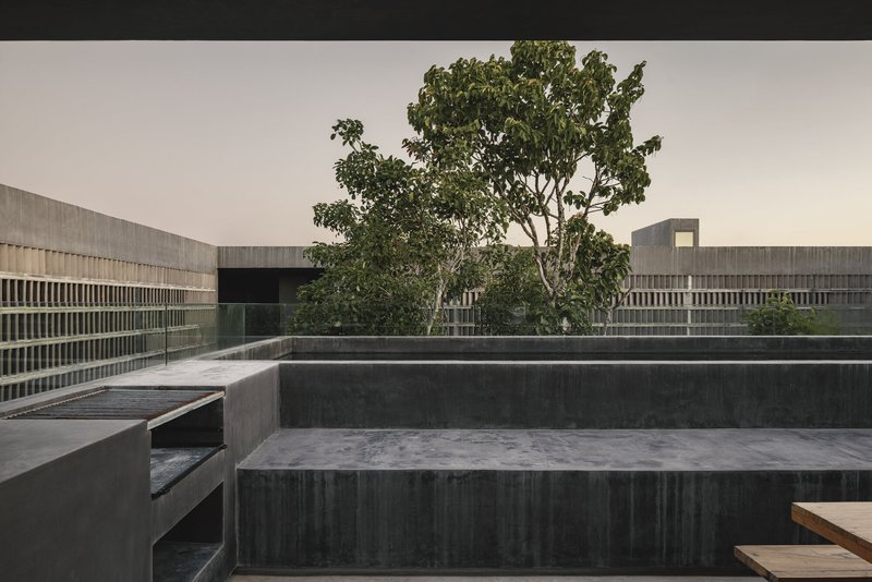 Tiered concrete seating platforms on rooftop with mature tree and patterned screen wall behind