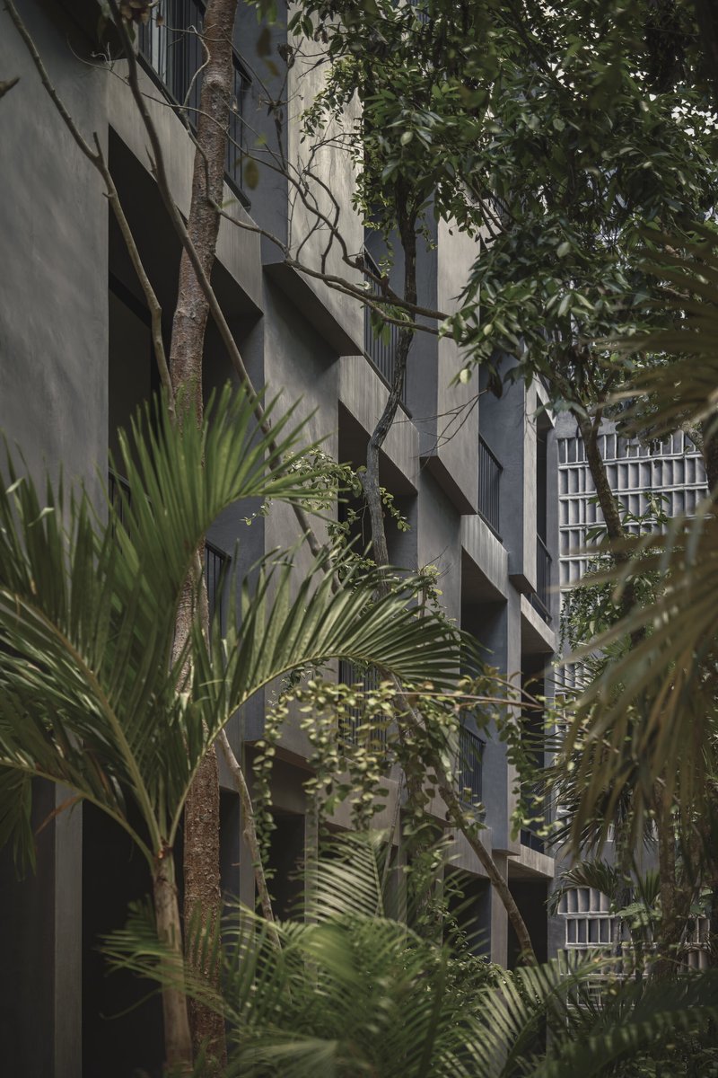 Textured concrete facade with vertical fins alongside tree trunks and fan palms in dappled light