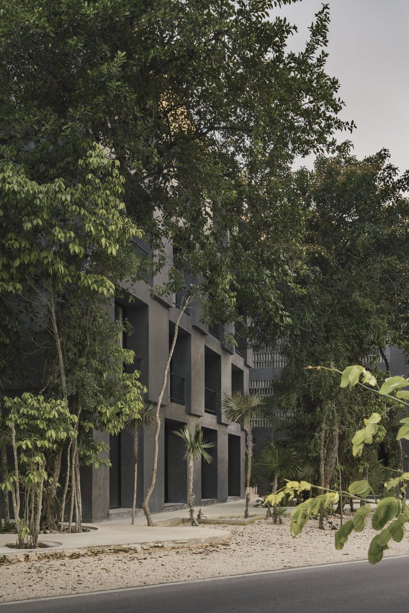 Street view of the raised concrete volume with deep openings set among mature trees at dusk