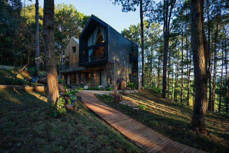 Timber walkway winding uphill through pine trees toward the stone and metal facade in afternoon light