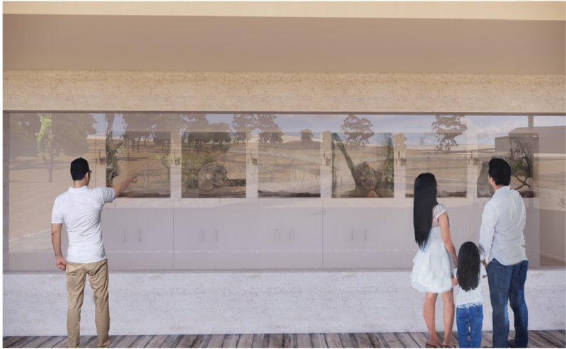 Rehabilitation viewing gallery allowing visitors to observe koala care without disturbing wildlife recovery.