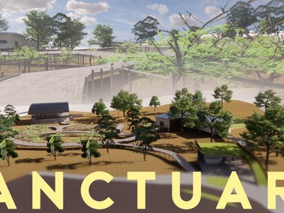 Sanctuary | Sustainable Wildlife Architecture Reimagining Koala Conservation
