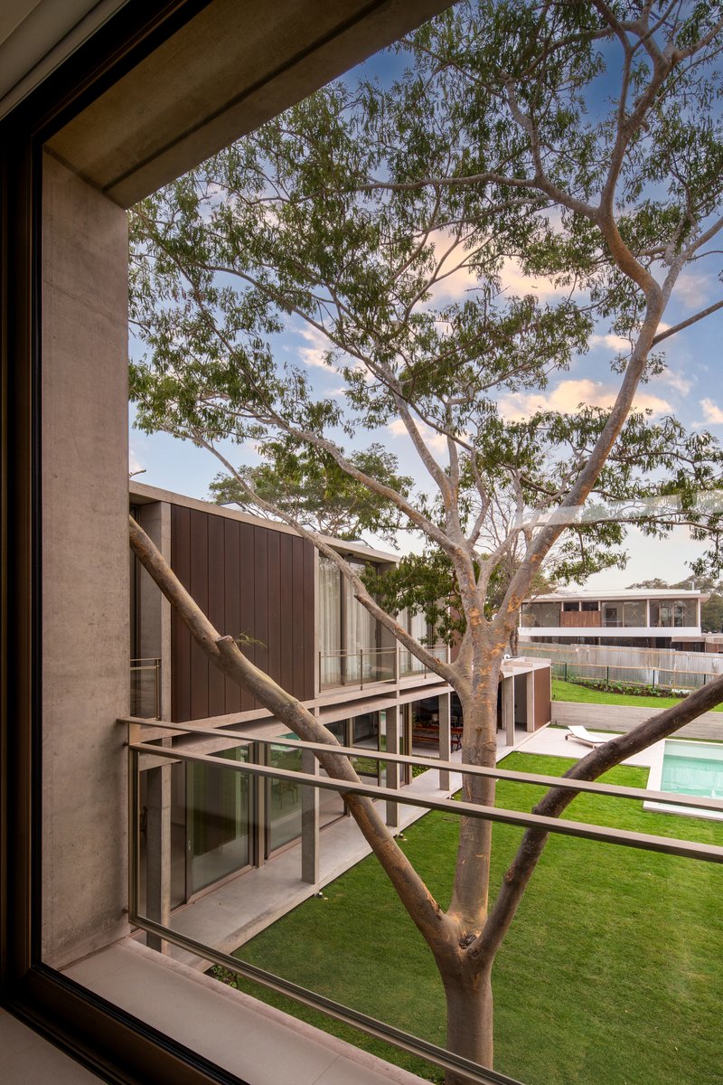 View through upper-level window framing a eucalyptus tree above the lawn and facade below