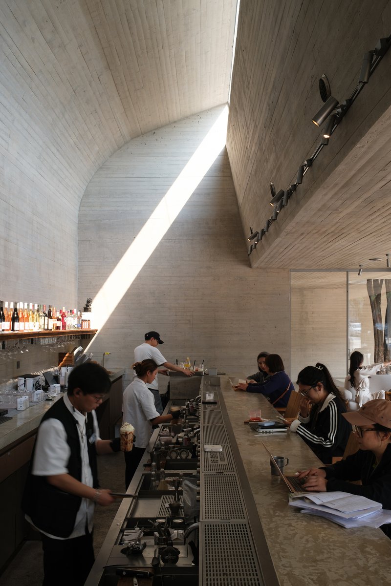 Interior coffee bar with curved timber ceiling and skylight casting bright daylight across baristas and patrons