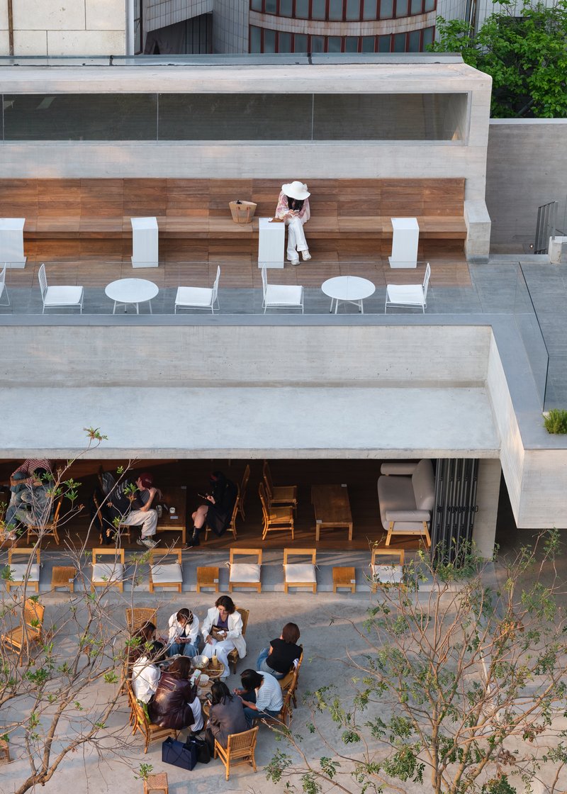 Overhead view of stepped concrete terraces with timber seating benches and groups dining beneath scattered young trees