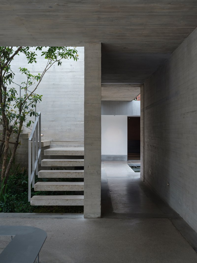 Concrete corridor with cantilevered stairs ascending past a planted courtyard with a young tree