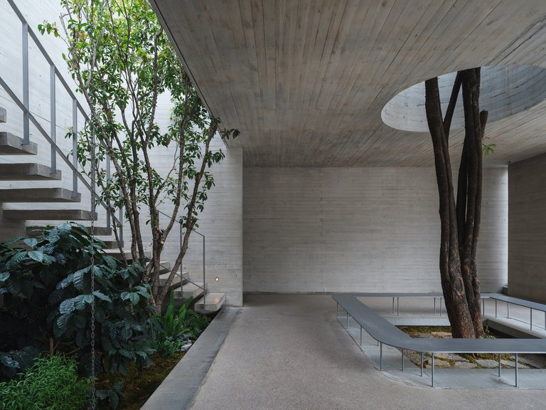 No10-Architects Builds a Multi-Sensory Coffee Lab Around Preserved Trees in Yunnan