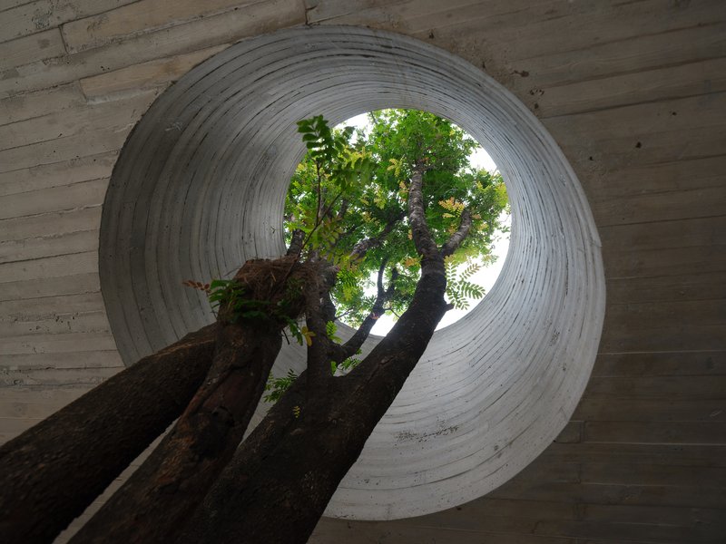 Upward view through circular concrete oculus framing tree branches against bright sky