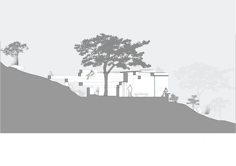 Section drawing depicting volumes embedded in sloping terrain beneath mature trees