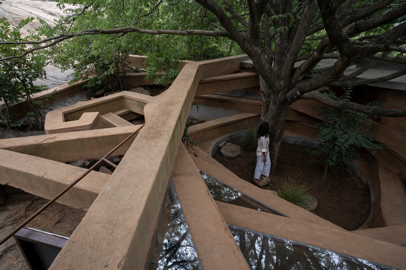 Aerial view of the cantilevered rammed earth roof wrapping around an existing tree on the rock outcrop