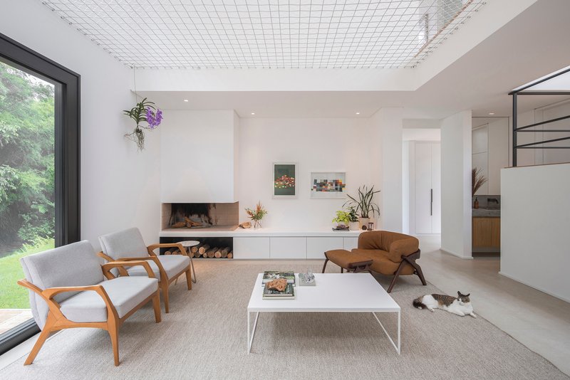 Living room with fireplace, wire mesh ceiling panel, and cat resting on carpet