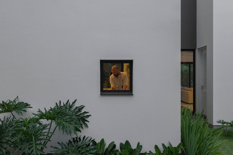 Square window framing a figure inside with tropical plants in the foreground at dusk