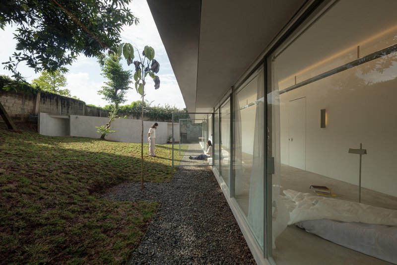 Glass-walled bedroom opening to a courtyard where two figures stand beside a young tree