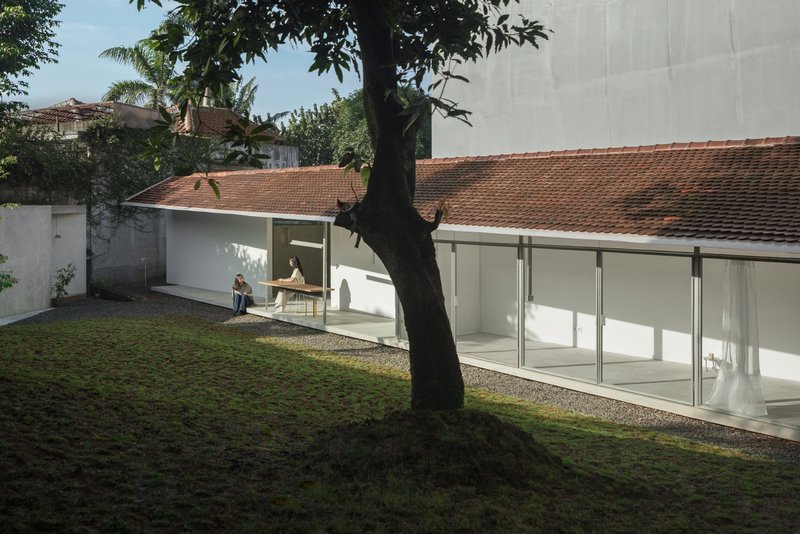 Courtyard view of the low-pitched terracotta roof with full-height glazing beneath a mature tree