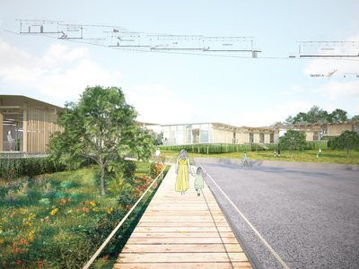 Healing Trees: Sustainable Architecture Reconnecting Humans, Koalas, and Nature